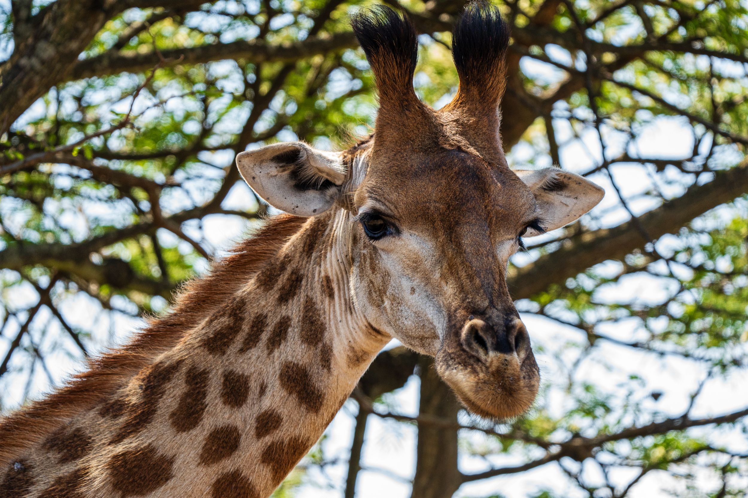 20230929 125035 Fotobuch Südafrika 04267